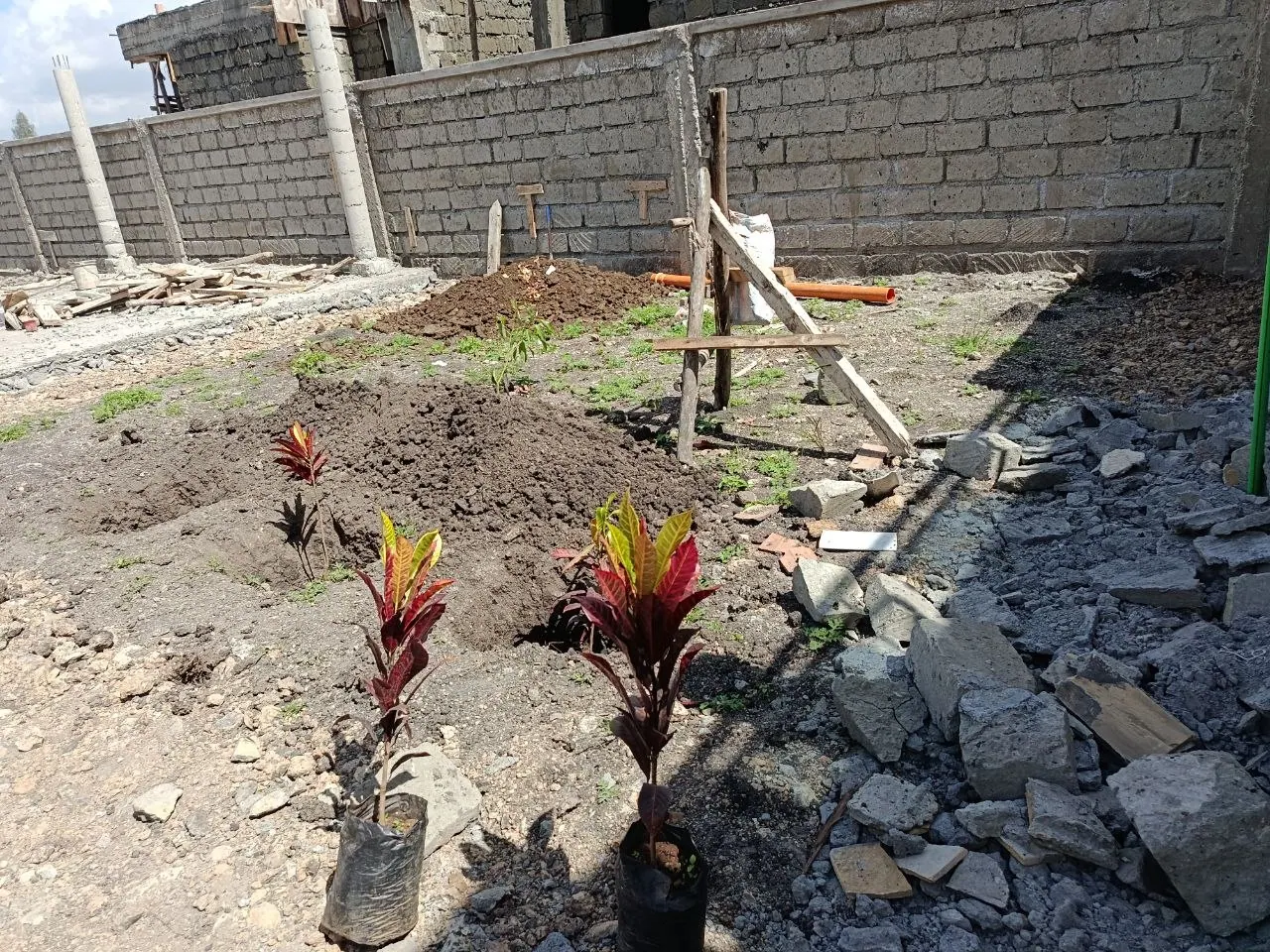 Transforming Urban Spaces: The Beauty of Sustainable Kitchen Gardens