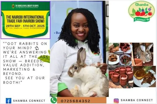Shamba Connect's stand at the Nairobi International Trade Fair 2025