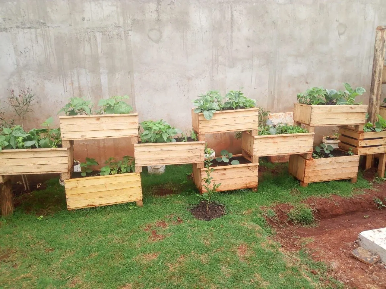 Utawala Rooftop Garden