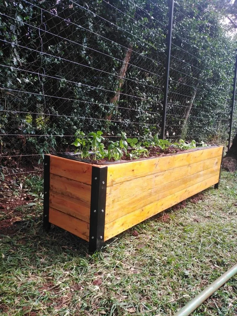 Getting Started: Your First Kitchen Garden