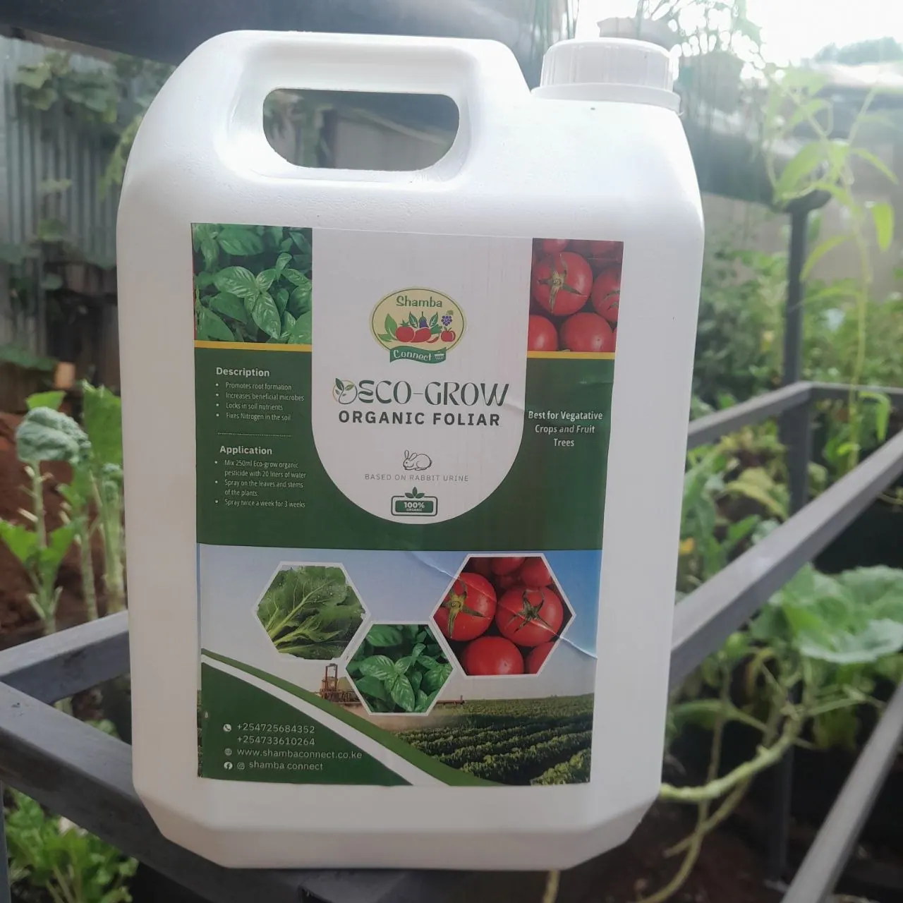 Composting Made Easy: Turn Waste into Gold