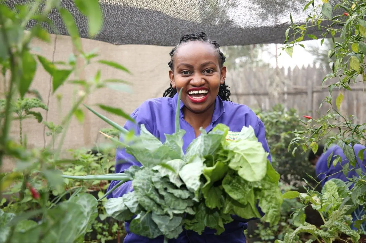 Success Story: From Zero to Harvest in 60 Days